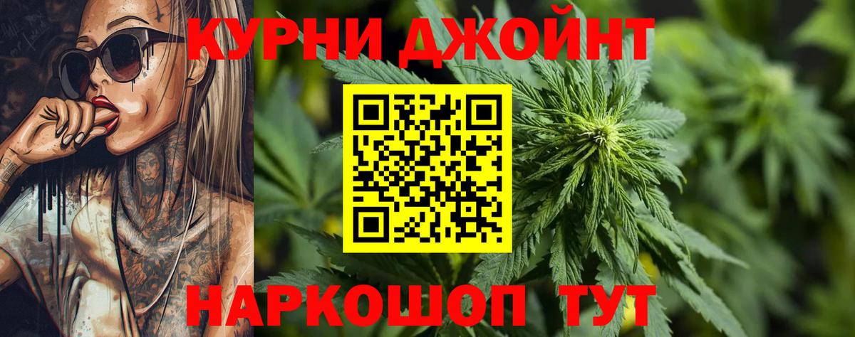Бошки Шишки MAZAR Хасавюрт