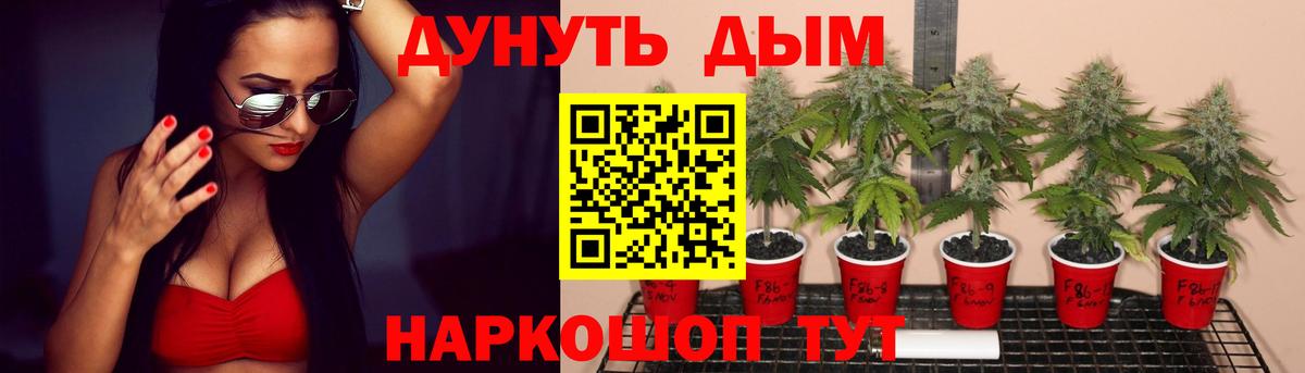 Канабис планчик  Вход с VPN  Марихуана Amnesia  Шишки марихуана MAZAR  Шишки марихуана Ganja  Хасавюрт 